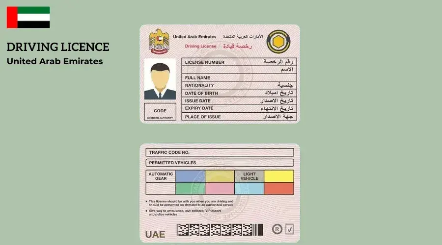 UAE Driving License Categories | Types of Driving Licenses in Dubai ...